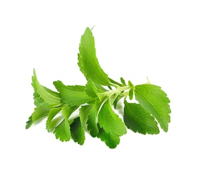 有機新鮮甜菊 (含梗) (10公克)