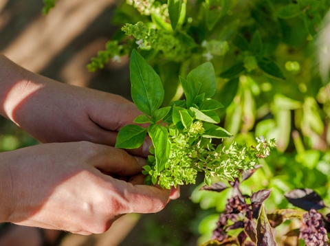 君達農場有機認證影片