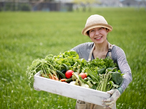 小農有機履歷影片